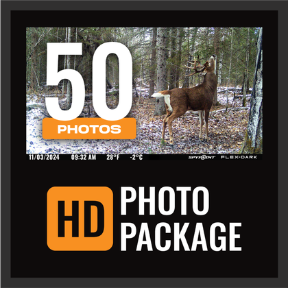 Pacchetto fotografico 50 HD